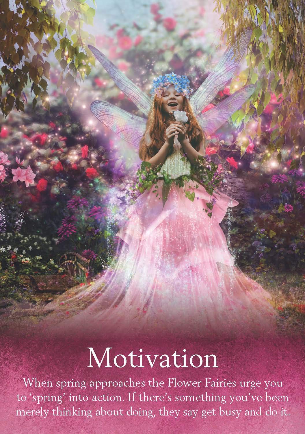 Oracle of the Fairies Cards